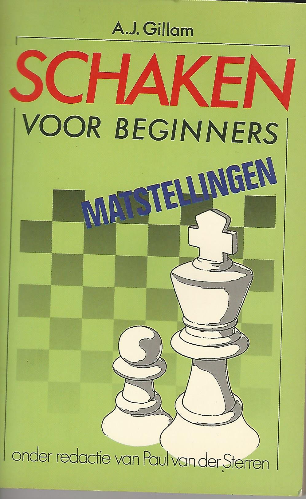 Schaken voor beginners om oplossingen bedenken om iemand mat te zetten